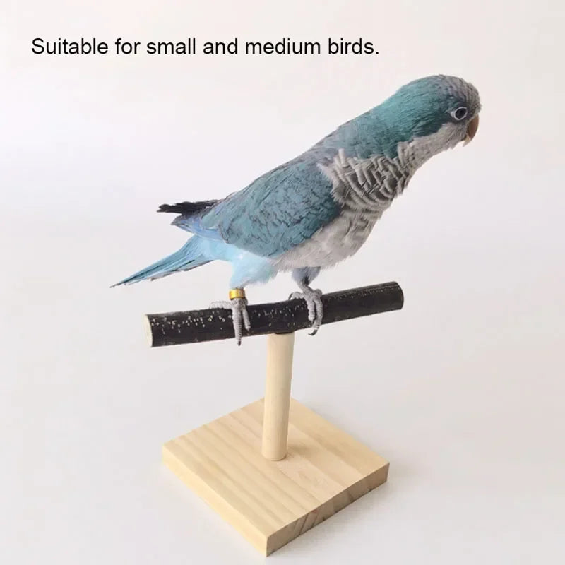Natural Wood Branch Desktop Perch Stand – Birds & Small Pets