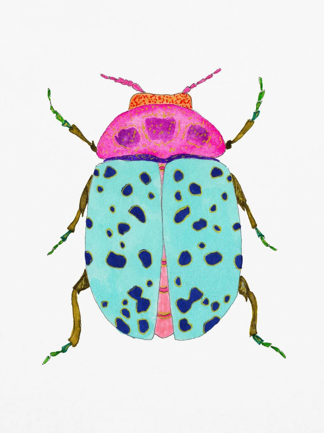 Watercolor Insect Canvas Print | Nursery & Kids Room Wall Art