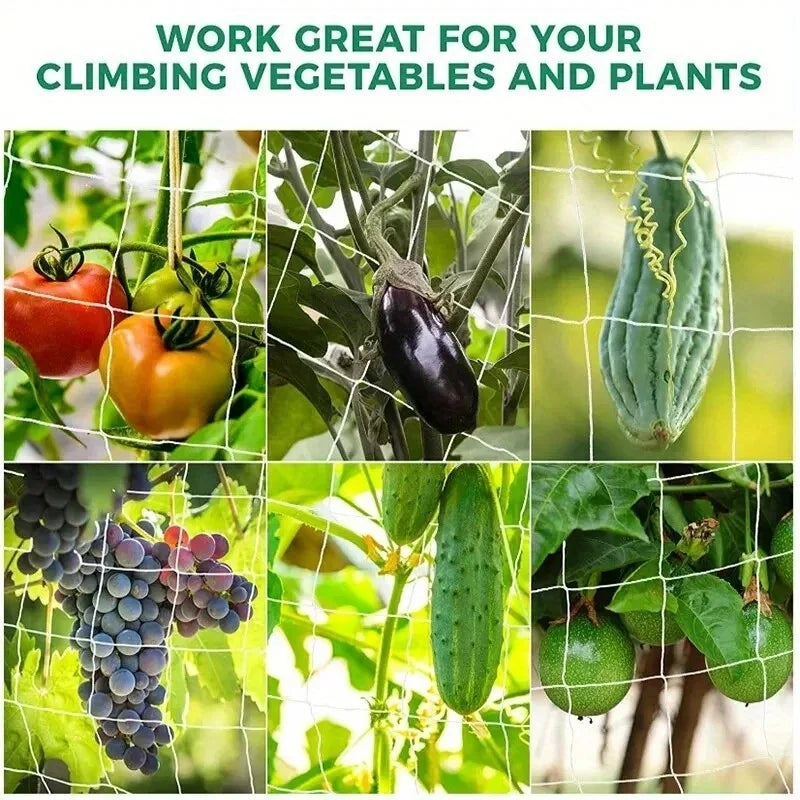 Garden Plant Trellis Netting – Square Mesh for Climbing Plants Plant Trellis Netting Peaceful Pleasures Health and Wellness