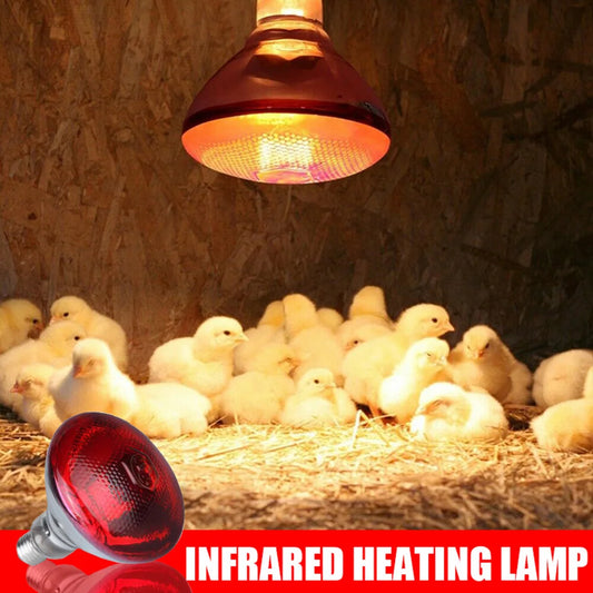 Infrared Heat Lamp 100–275W Quartz Glass E27 Breeding Bulb Infrared Heat Lamp Peaceful Pleasures Health and Wellness