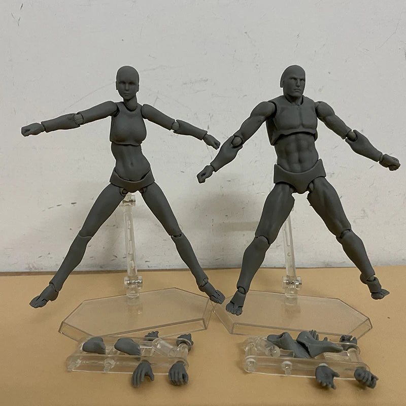 Artist Figure Art Painting Anime Sketch Draw Male Female Body Movable