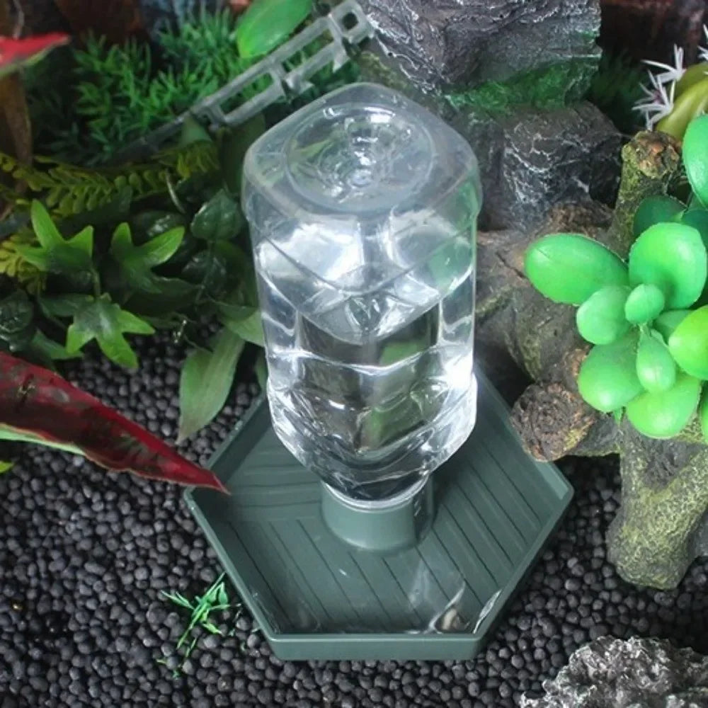 Turtle Water Bowl Anti-Slip Reptile Feeder | Vivarium Dish