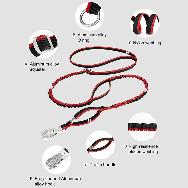 TRUELOVE Dog Leash Heavy Duty with Quick Release/Locking Frog Clip Waterproof Tactical Multi-function Bungee Cobra Buckle YL1833 Peaceful Pleasures Health and Wellness