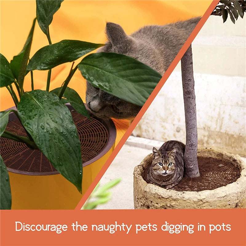 Plant Pot Soil Guard Grid Cover with Nails | Cat & Baby Safe