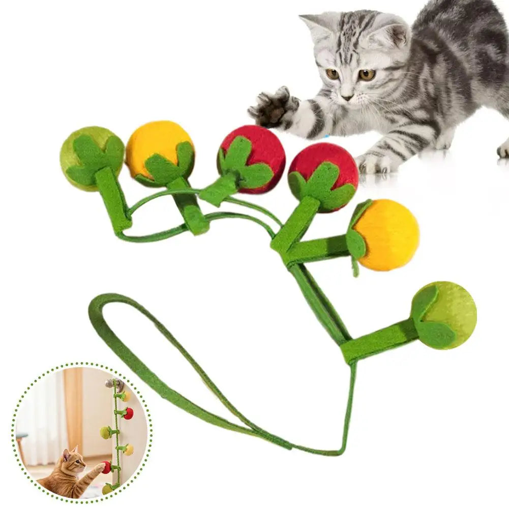 Interactive Catnip Bell Cat Teaser Toy – Cherry Tomato 3-Pack