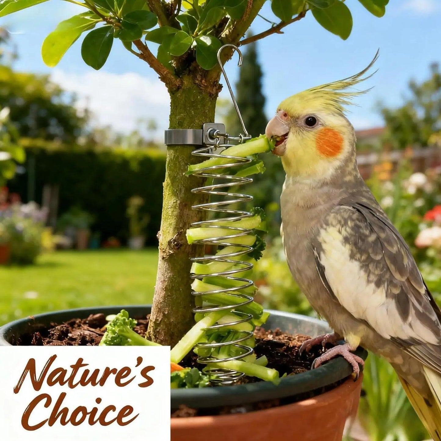 Millet Holder Bird Cage Foraging Tray | Parakeet Parrot Feeder