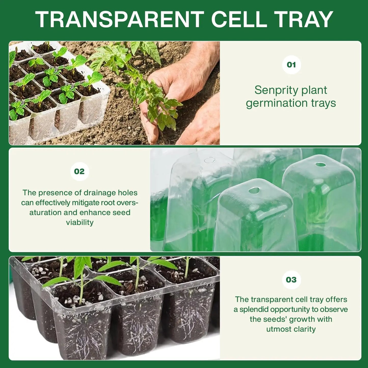 Seed Starter Tray Plant Starter Kit and Base Mini Greenhouse Germination Kit for Seeds Growing Starting Peaceful Pleasures Health and Wellness