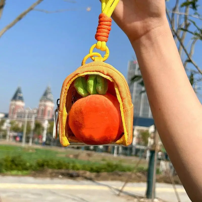 Mini Transparent Keychain Organizer Case – Earphone & Coin Bag