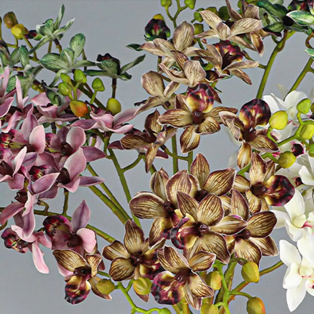 Artificial Phalaenopsis Orchid Branch | 2 Fork Real Touch 60cm