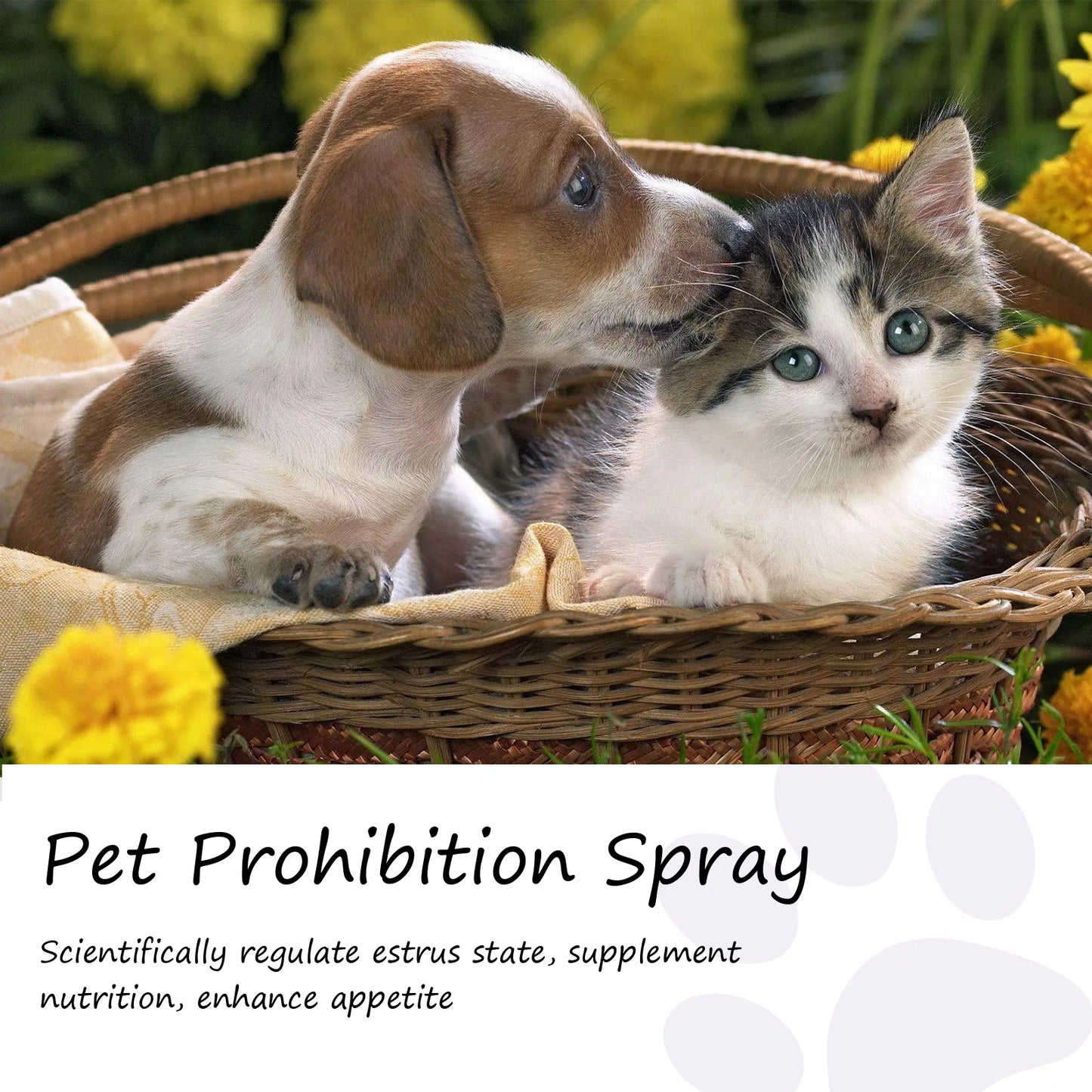 Pet Calming Pheromone Spray for Cats & Dogs – Anxiety Relief 50ml