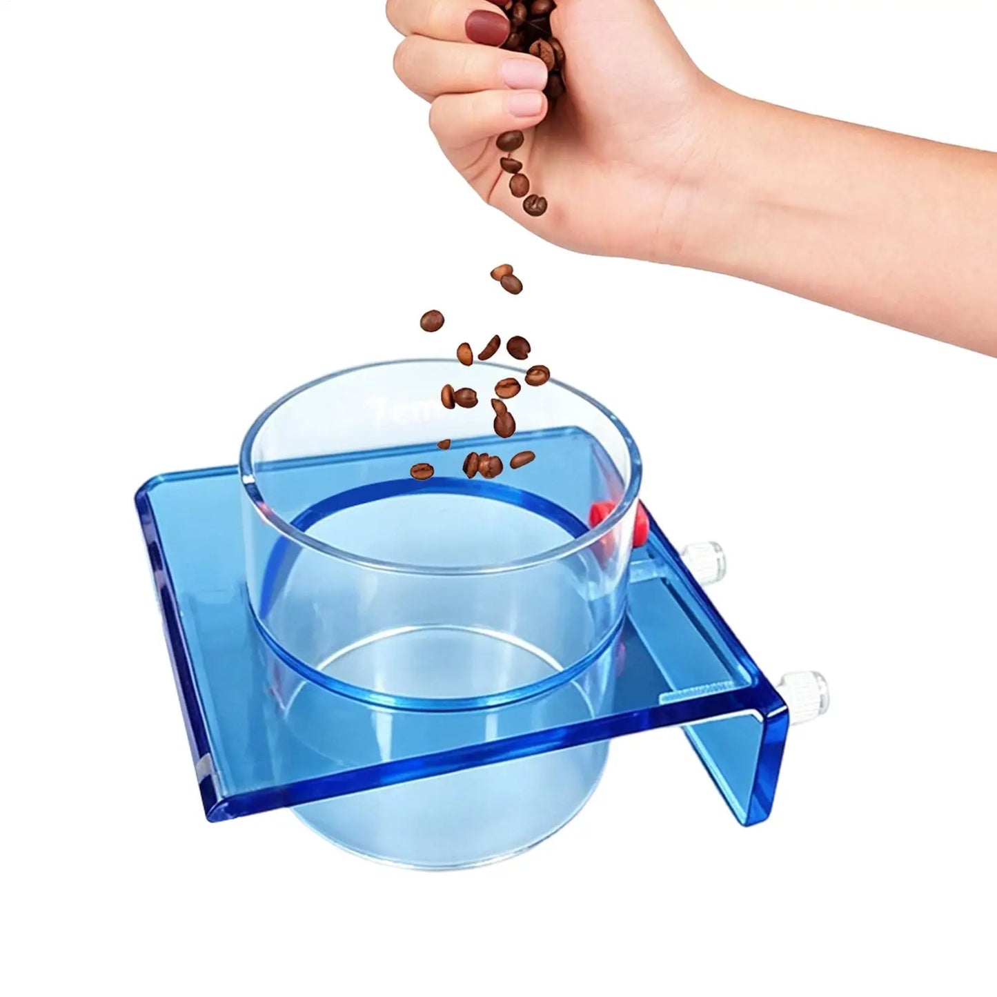 Acrylic Fish Feeding Ring with Suction Cup | Aquarium Feeder