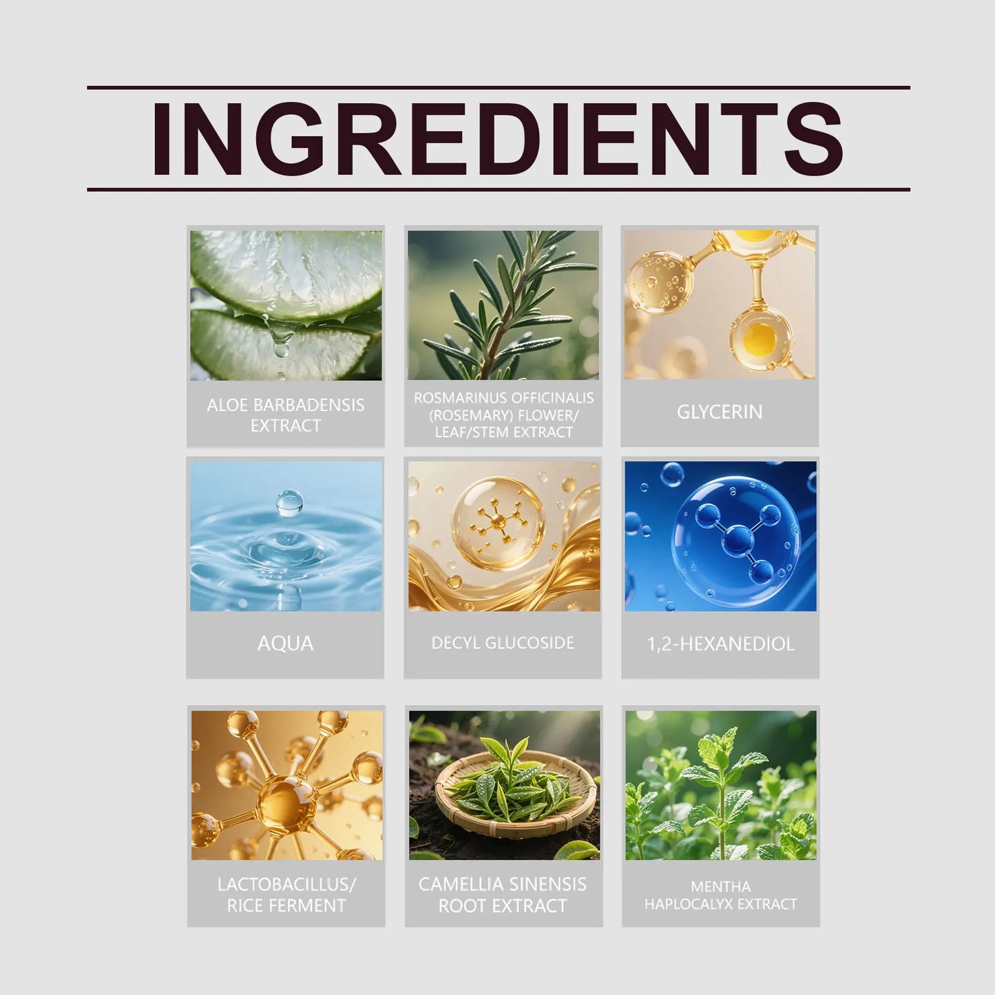 Rosemary & Cooling Mint Shampoo – Soft, Shiny & Moisturized Hair