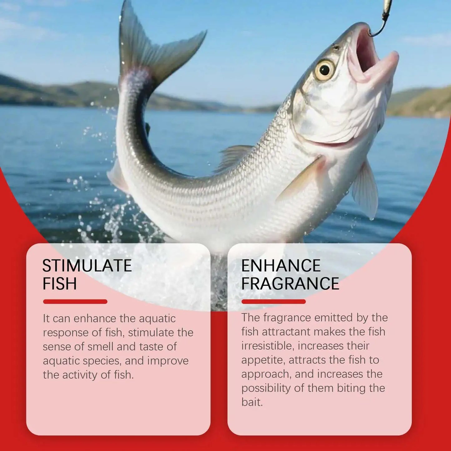 60ml Powerful Fish Bait Attractant Concentrated Liquid Lure for Freshwater Fishing, Catches Bass Trout Crappie Carp Peaceful Pleasures Health and Wellness