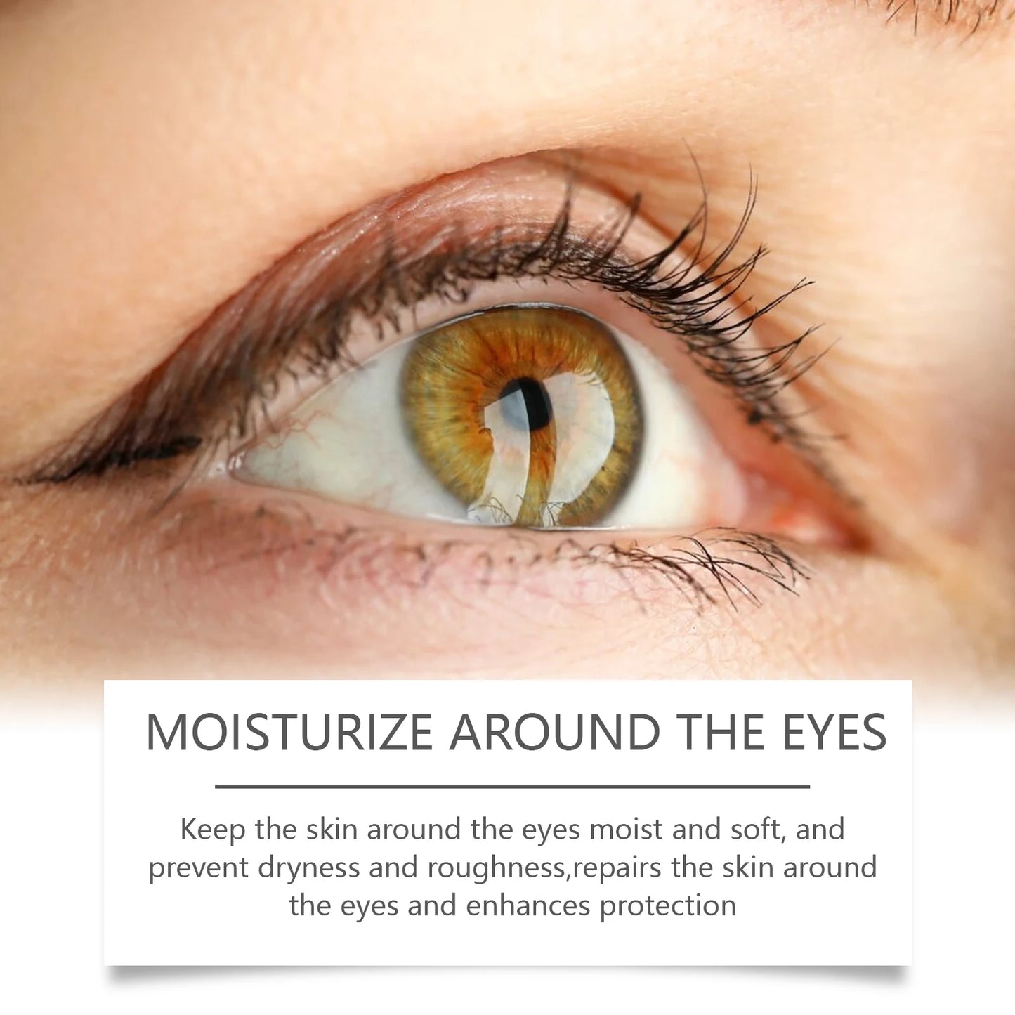 Bee Venom Eye Cream – Depuff, Firm & Fade Dark Circles