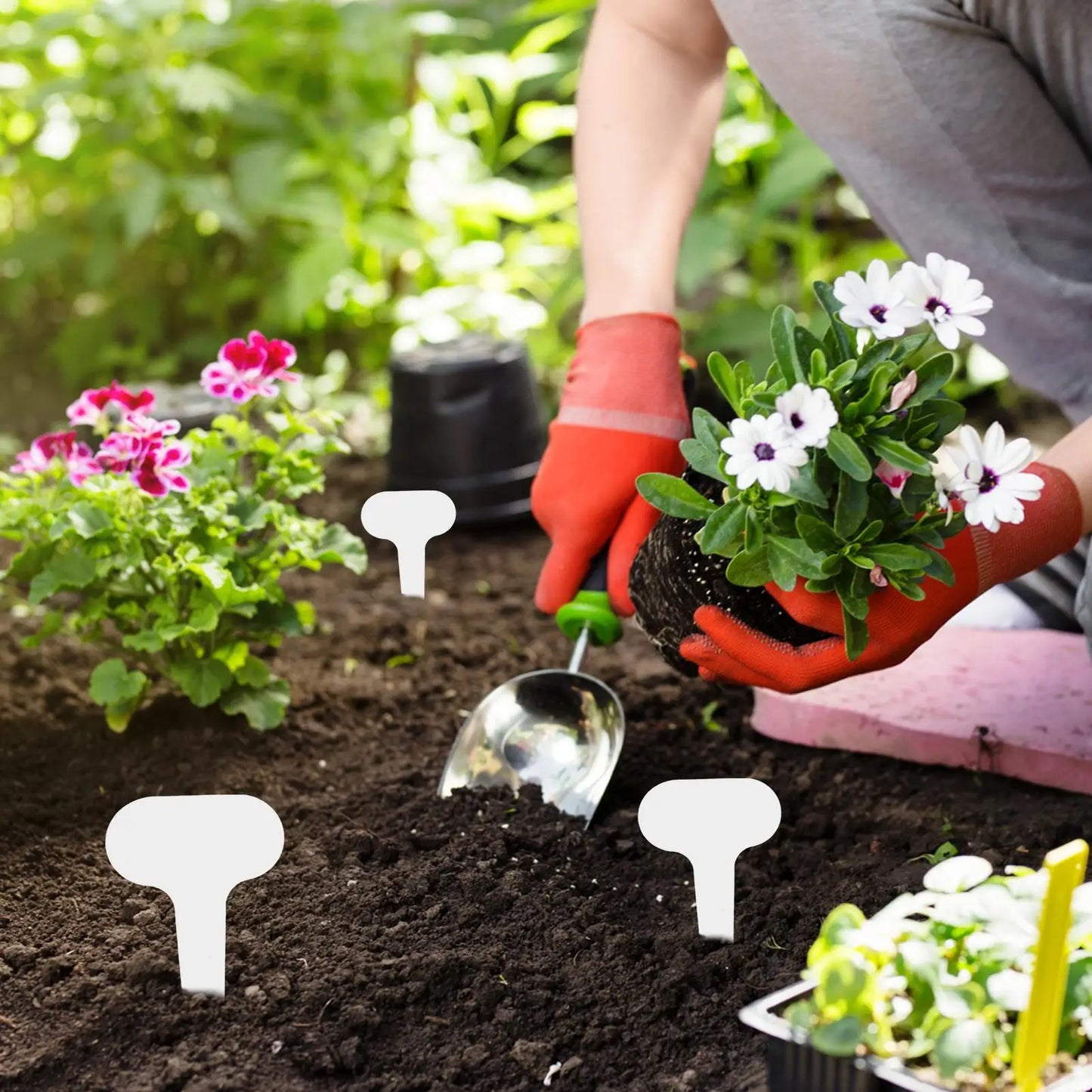 100 Pcs Waterproof PVC Garden Plant Labels & Tags