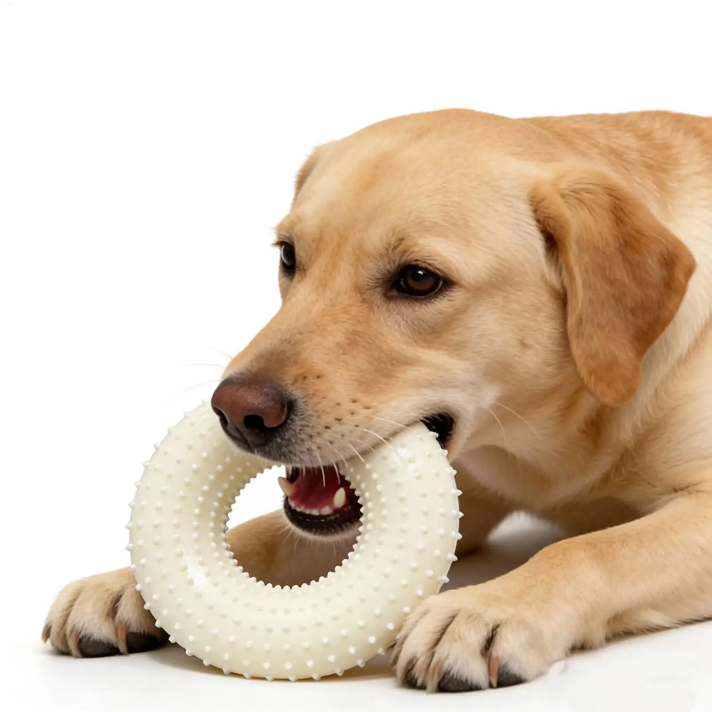 Durable Rubber Dog Chew Ring Toy | Teething Puppy & Play