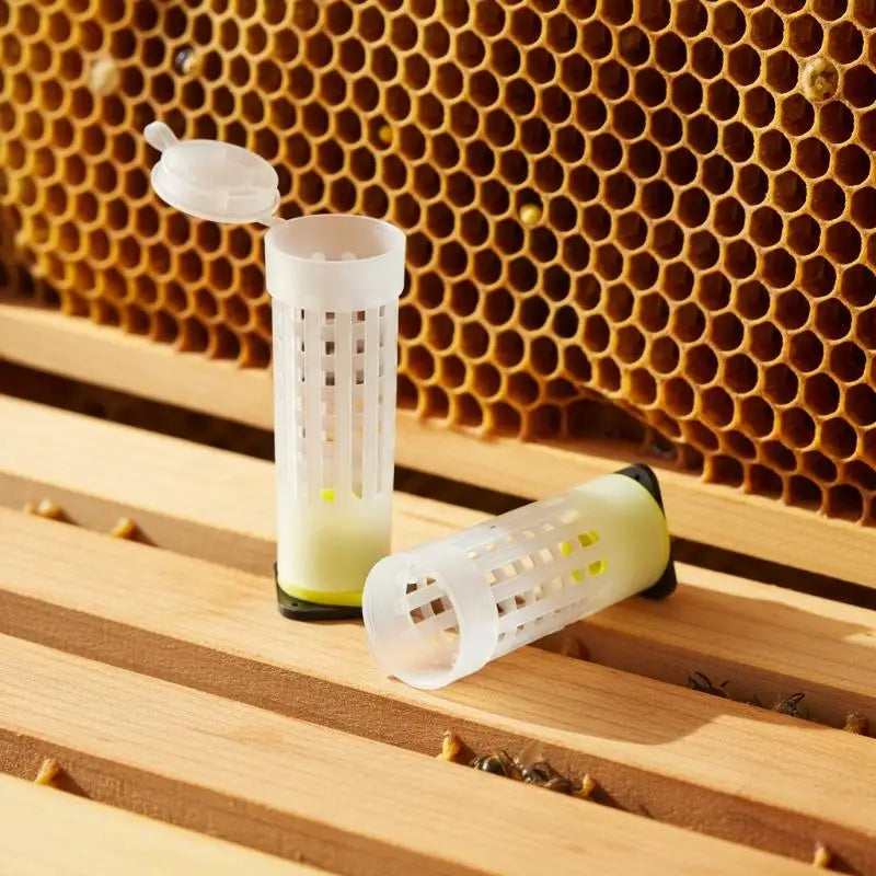 Queen Bee Rearing Protection Cage 20pcs | Beekeeping Tool