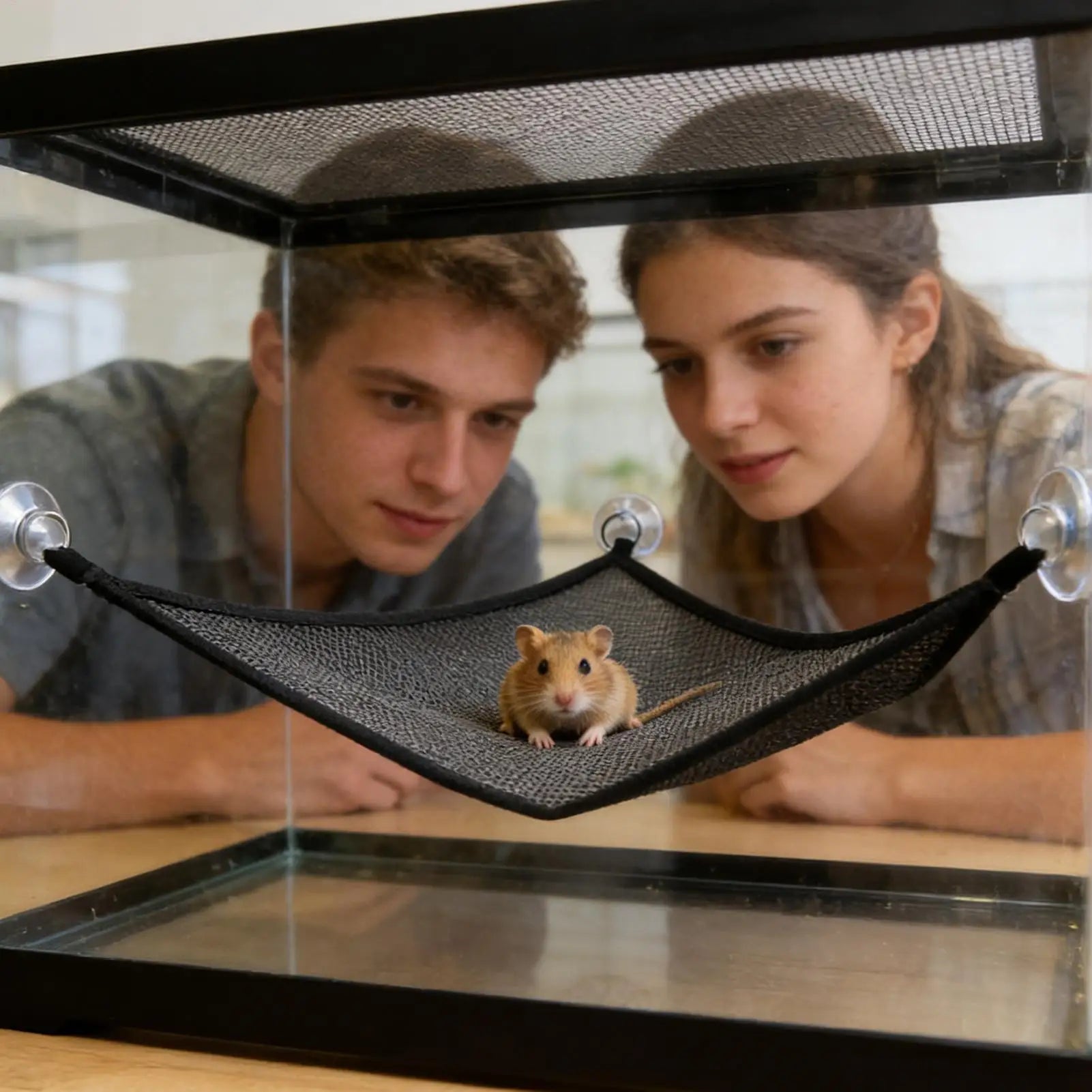2PCS Breathable Reptile Hammock Mesh Hideout Multi-Purpose Pet Hammock for Lizards Iguanas Geckos, Snakes Chameleon Squirrel Peaceful Pleasures Health and Wellness
