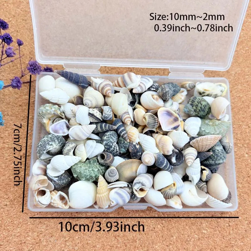 Resin Simulation Pearls & Shells Mix – DIY Craft & Home Décor