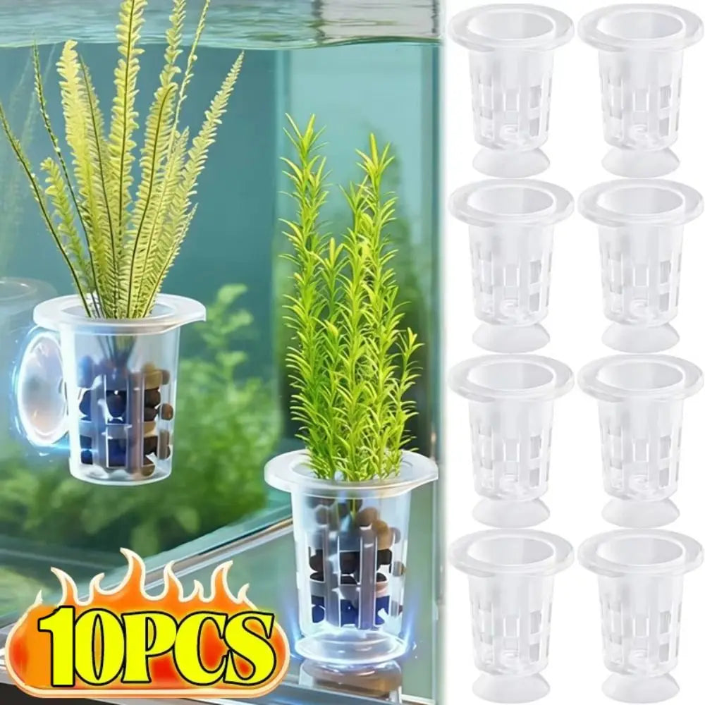 10-Pack Transparent Aquarium Hydroponic Plant Pots w/ Suction