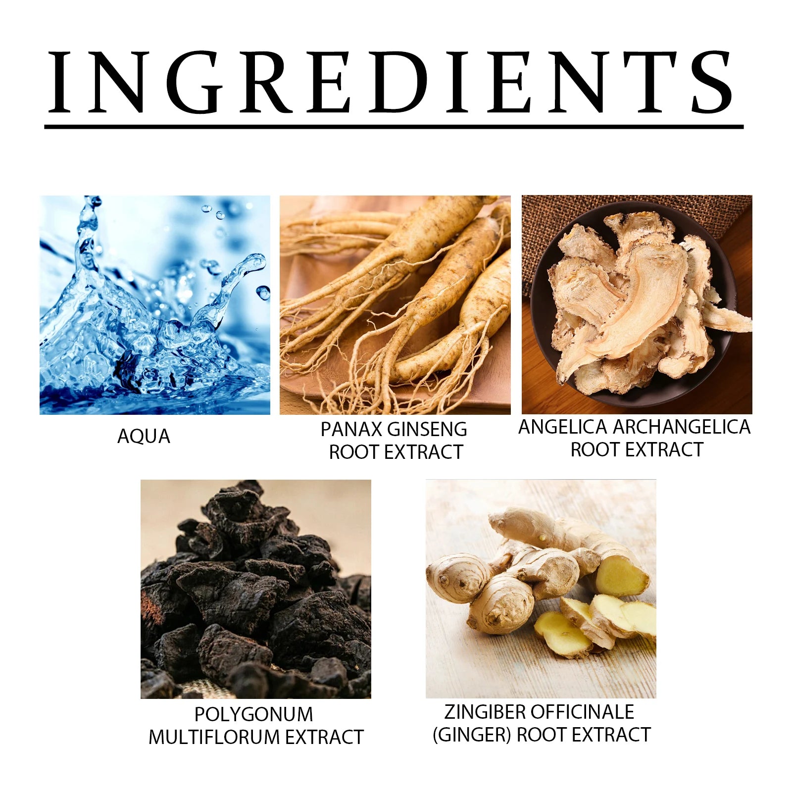 Ginseng Oil Shampoo and Conditioner Hair Strengthens Anti Loss Restore Damaged Cleansing Dandruff Control Hair Growth Shampoo Peaceful Pleasures Health and Wellness