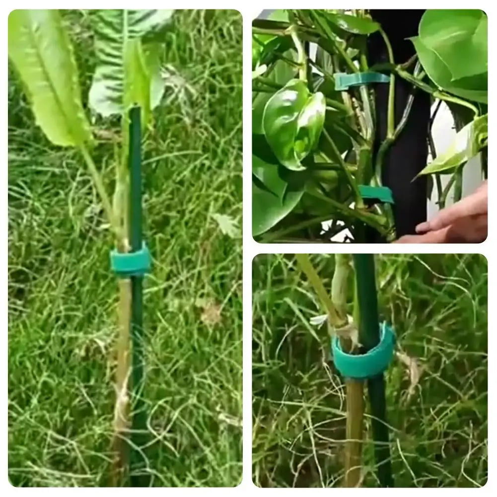 100pcs Green Nylon Cable Ties Garden Wire Organizer for Data Cables Home Office Cable Management Tools Peaceful Pleasures Health and Wellness