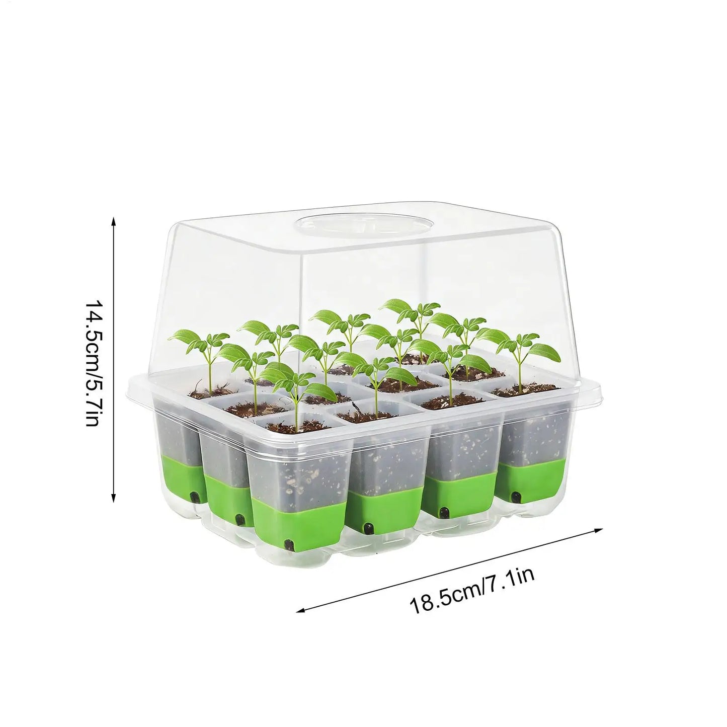 12-Cell Seedling Starter Tray with Humidity Cover | Germination