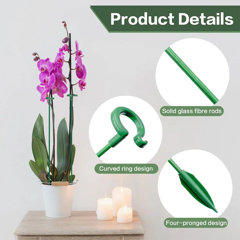 5/10PCS Plant Supports Stand Butterflies Orchid Flower Potted Fixing Rods Reusable Vegetable Protection Fixing Tool Gardening Su Peaceful Pleasures Health and Wellness
