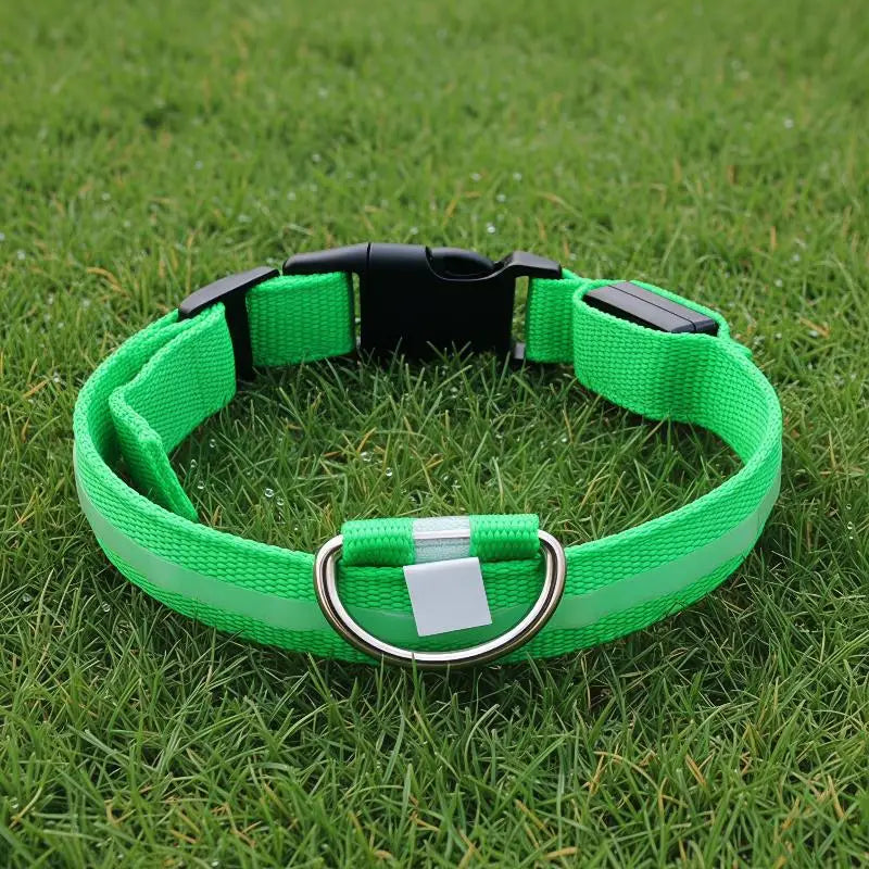 LED Light-Up Dog Collar – Glowing Safety Collar for Night Walks