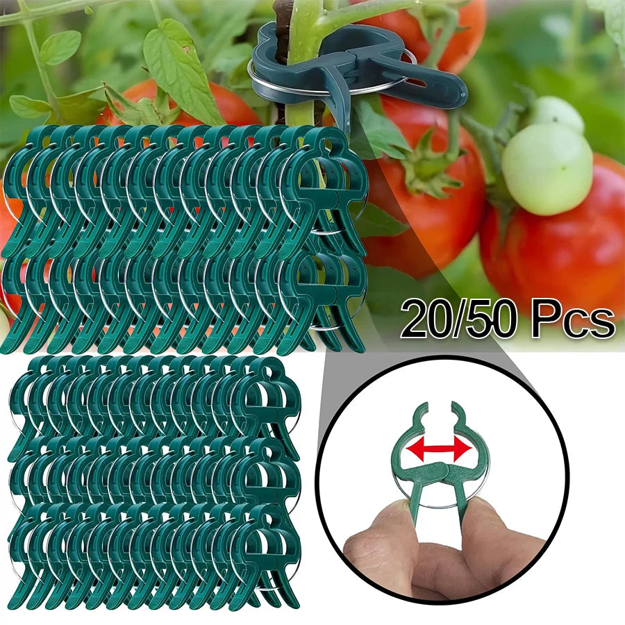 Plant Clips for Climbing Plants & Tomato Vine Support Garden Plant Clips Peaceful Pleasures Health and Wellness