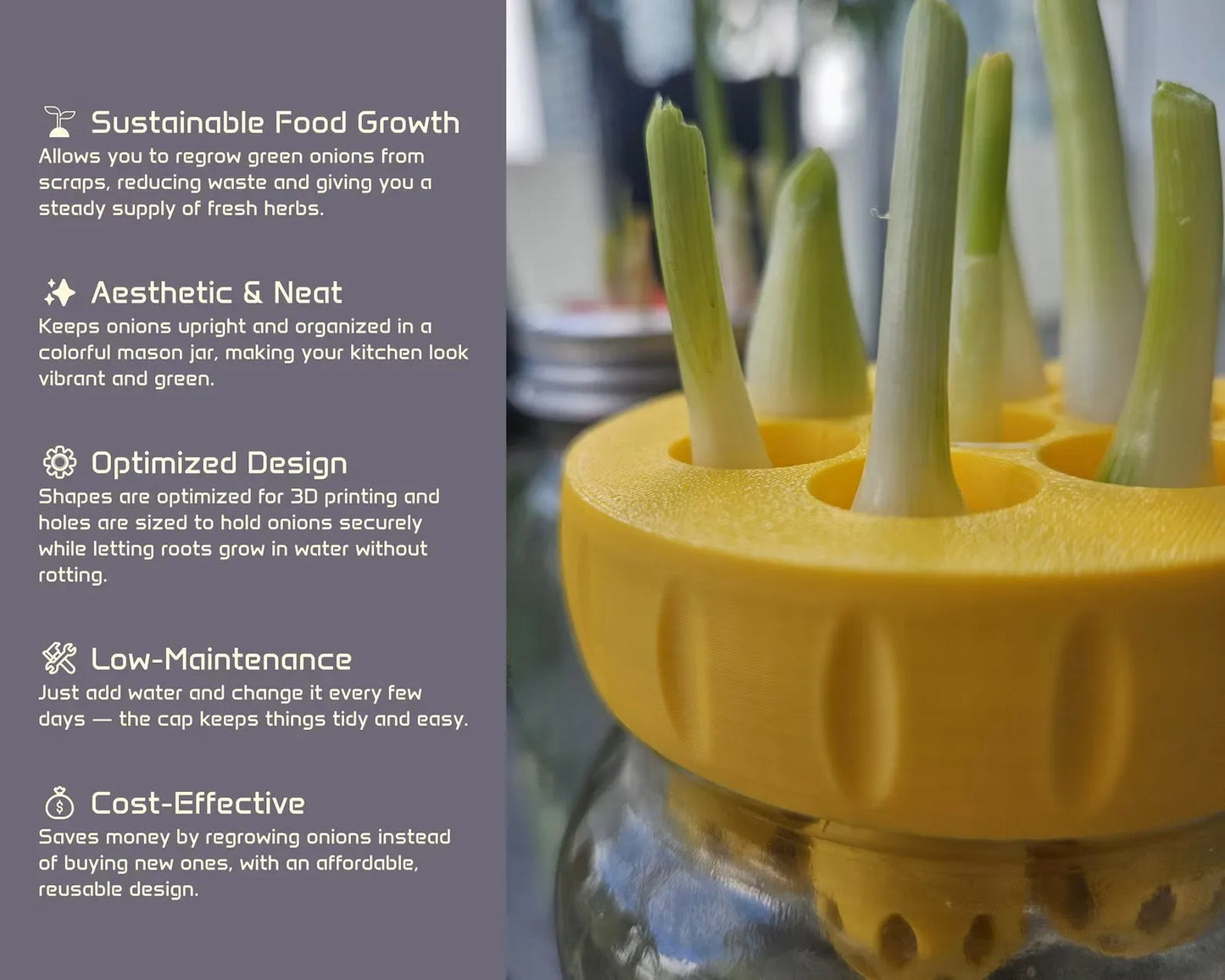 Mason Jar Green Onion Regrower Lid – Hydroponic Herb Kit