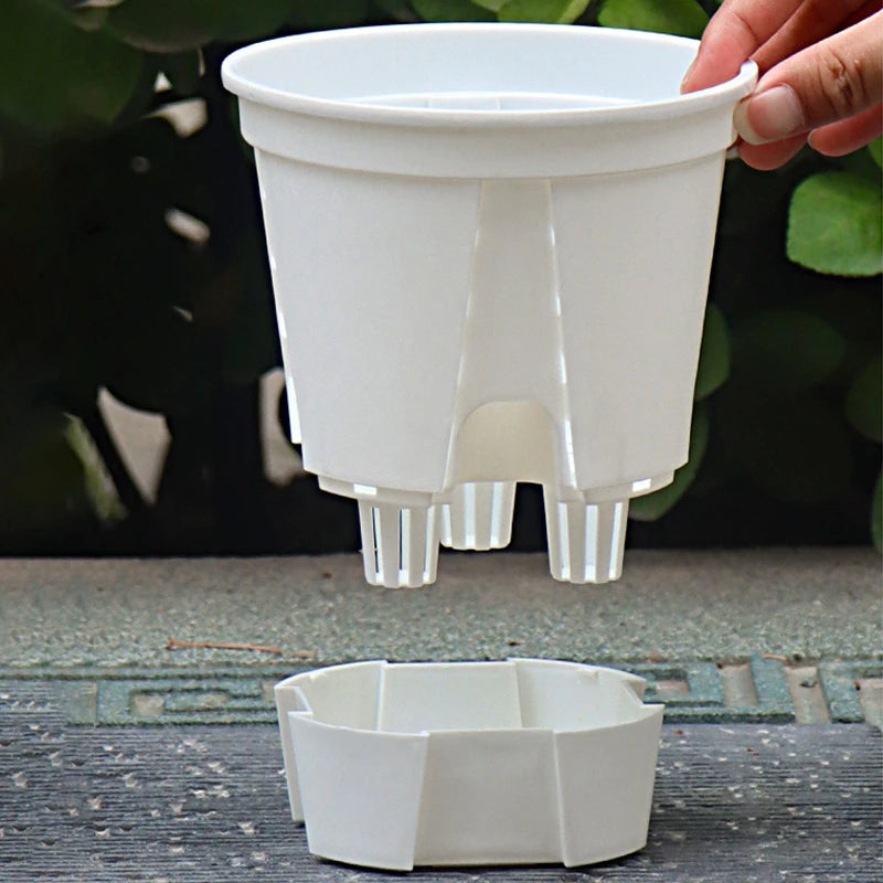 Self-Watering Transparent Orchid Pot | Double Layer Hydroponic