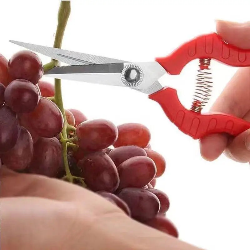 Garden Pruning Shears – Stainless Steel Bonsai Scissors 4 Sizes
