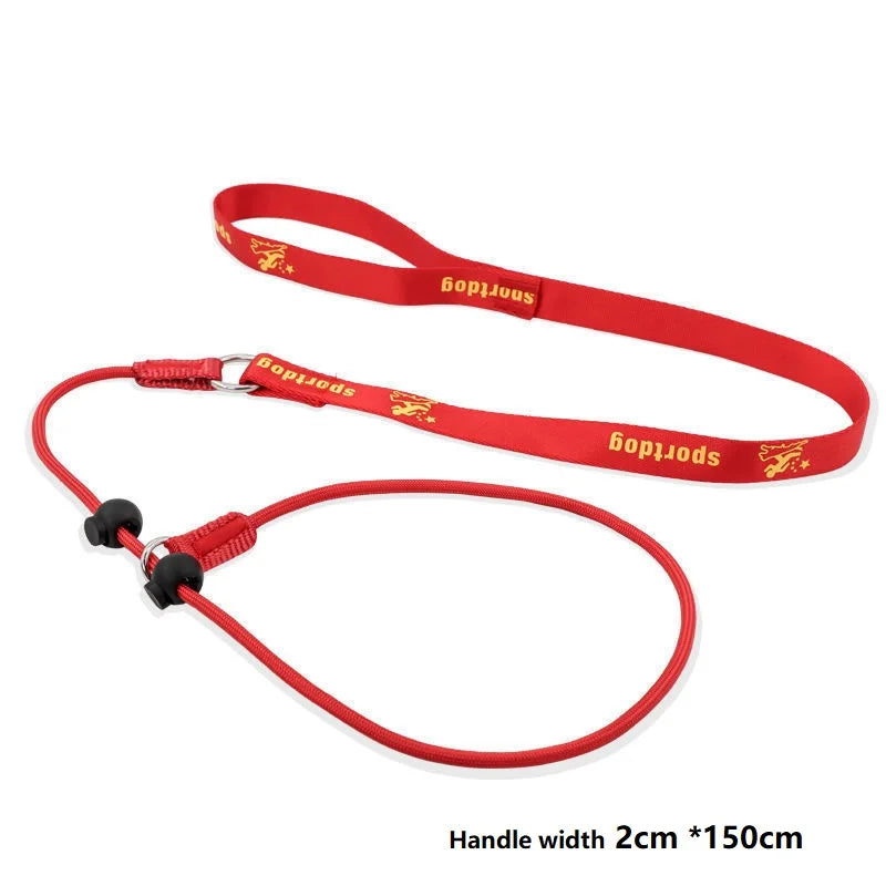 2-in-1 Slip Lead Dog Training Leash & Collar – 150cm Nylon