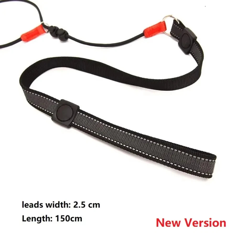 2-in-1 Slip Lead Dog Training Leash & Collar | 150cm Nylon