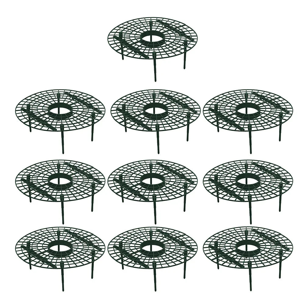 Strawberry Plant Support Stands – Elevated Fruit Rack, 10pc Peaceful Pleasures Health and Wellness 10Pcs United States