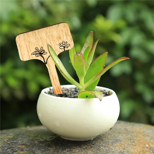 T-Type Wooden Plant Labels | Eco Garden Markers 5–30 Pack Garden Plant Markers Peaceful Pleasures Health and Wellness
