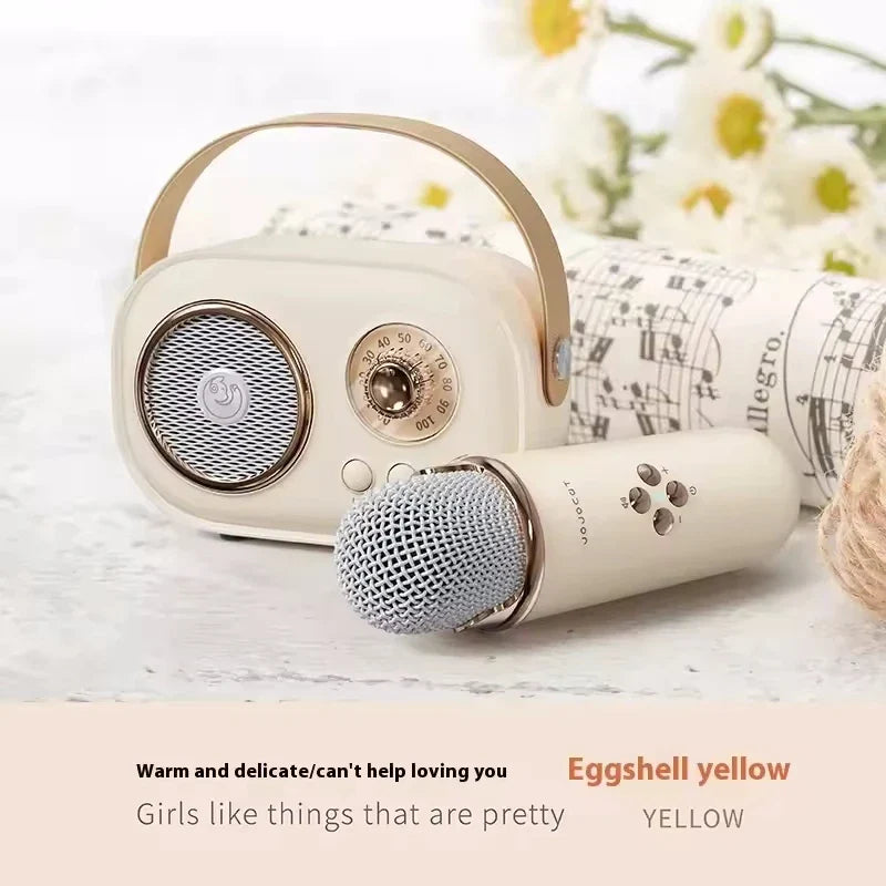 Portable Karaoke Bluetooth Speaker & Wireless Microphone | FM