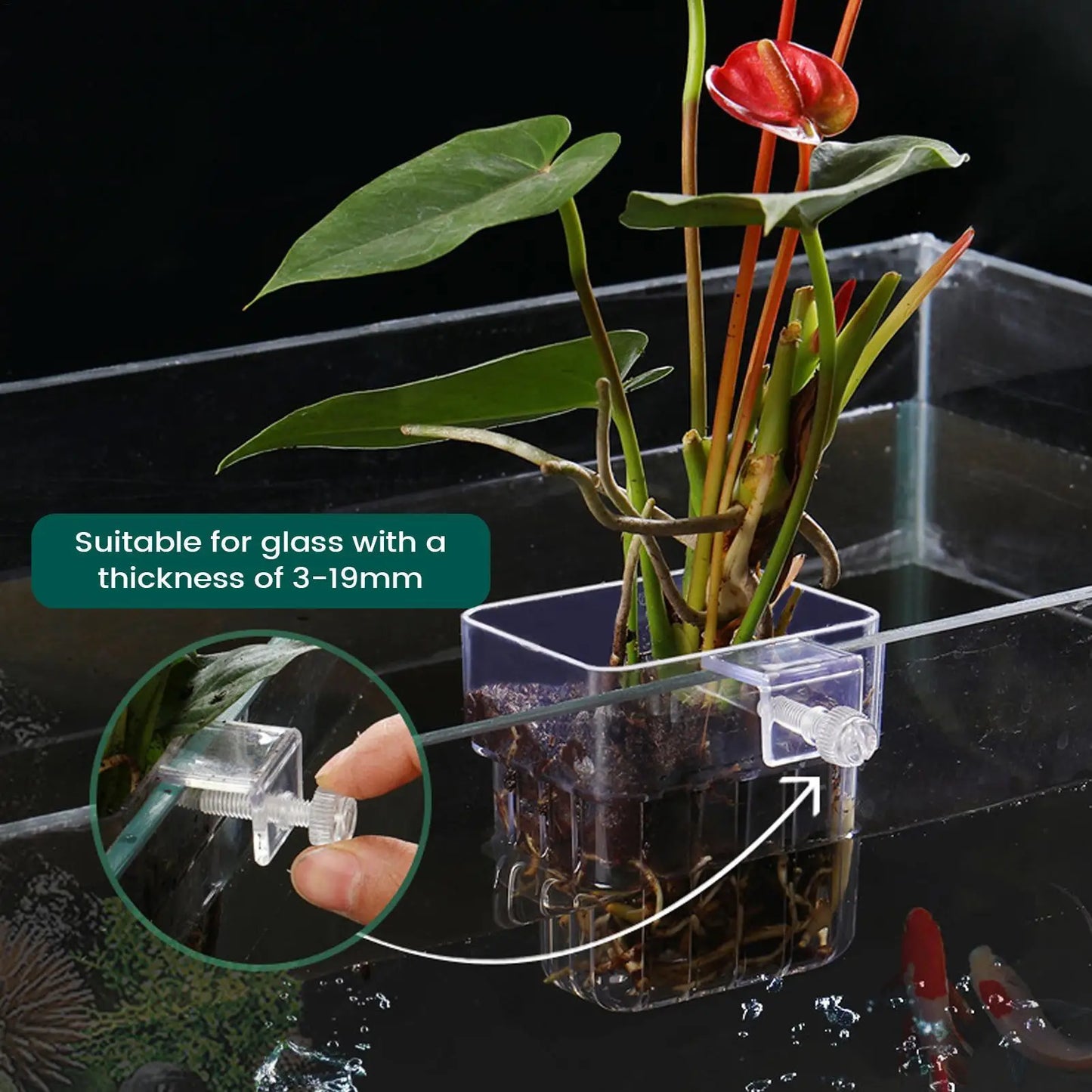Aquarium Plant Holder – Transparent Hanging Pot for Fish Tank