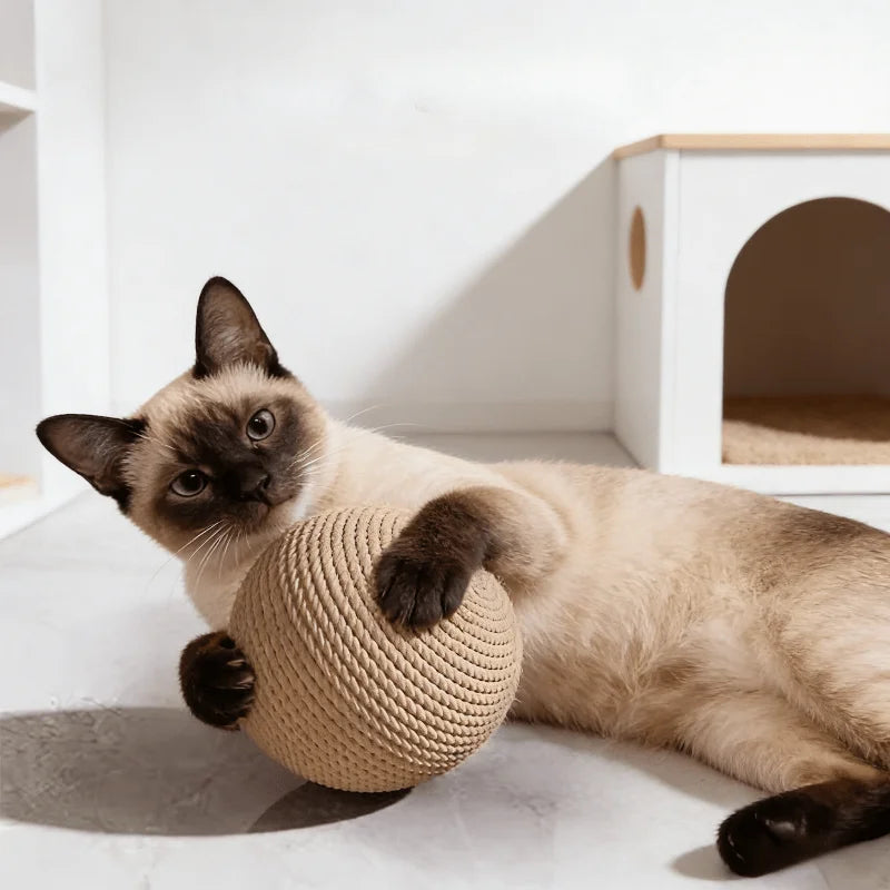 Sisal Cat Ball Toy – Interactive Scratching Balls for Kittens Cat Sisal Toy Ball Peaceful Pleasures Health and Wellness
