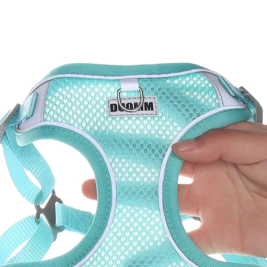 Reflective Dog Harness & Leash Set – Small & Medium Pets