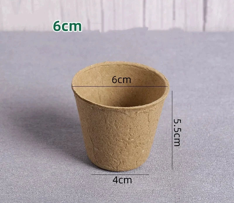 Biodegradable Pulp Seed Starter Pots | 10/20 Pack with Drainage