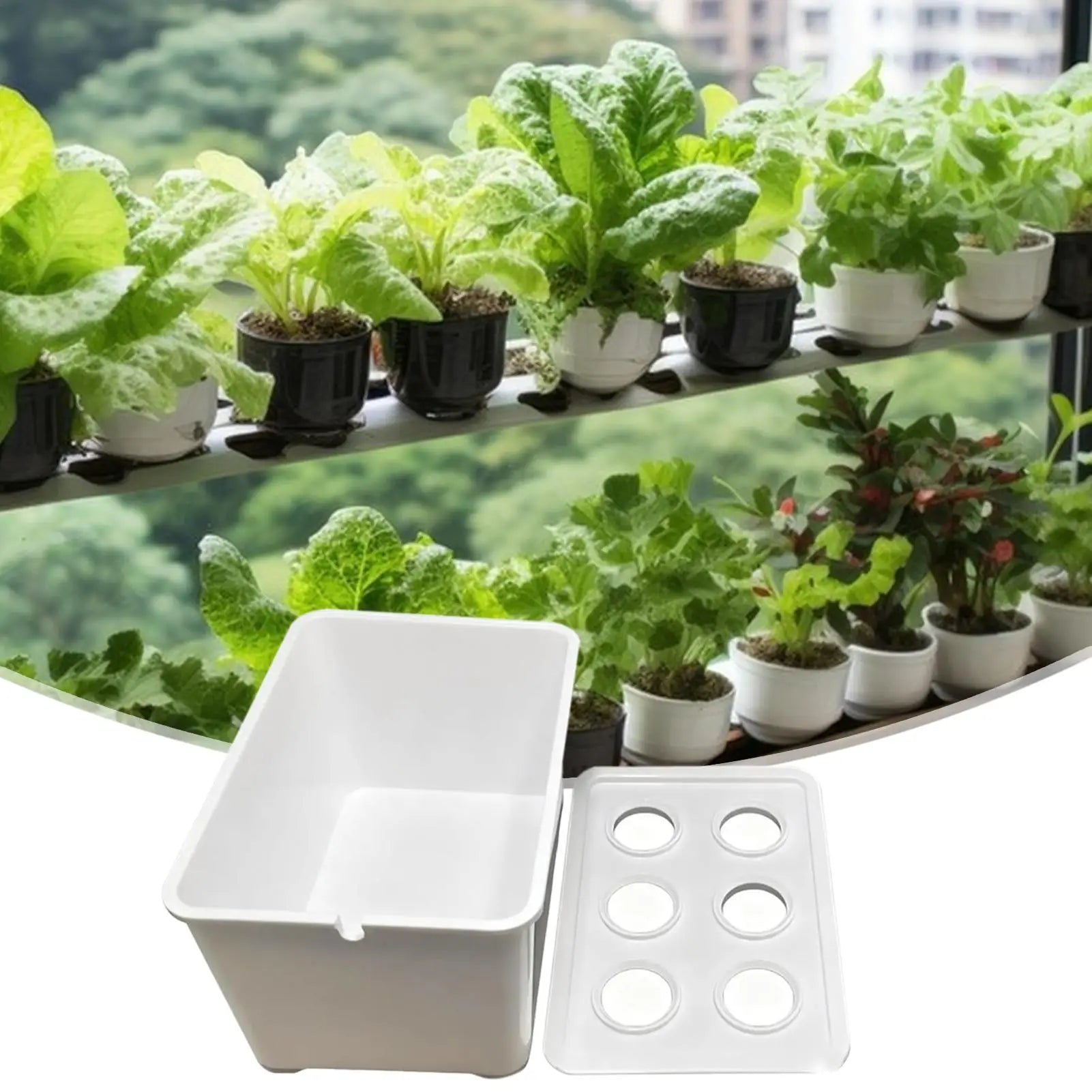 Indoor Hydroponic System 6-Holes Growing Box System Vegetables Planting Box For Vegetables Flowers Fruits Indoor Outdoor Garden Peaceful Pleasures Health and Wellness