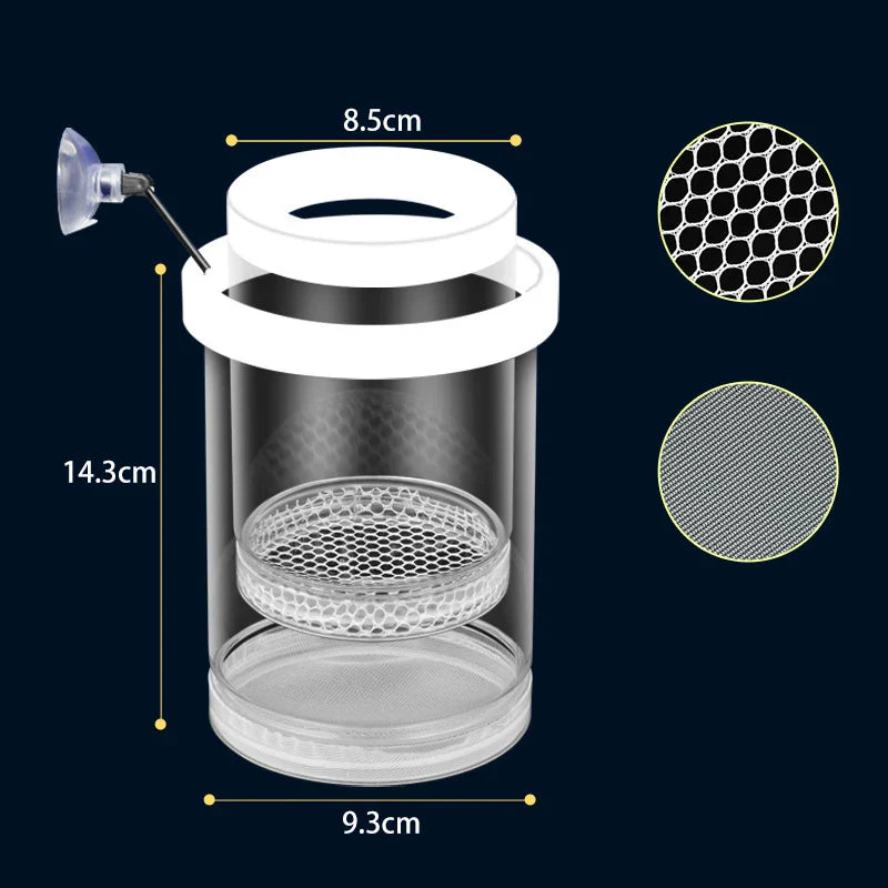 Floating Fish Breeding Isolation Box | Aquarium Hatchery
