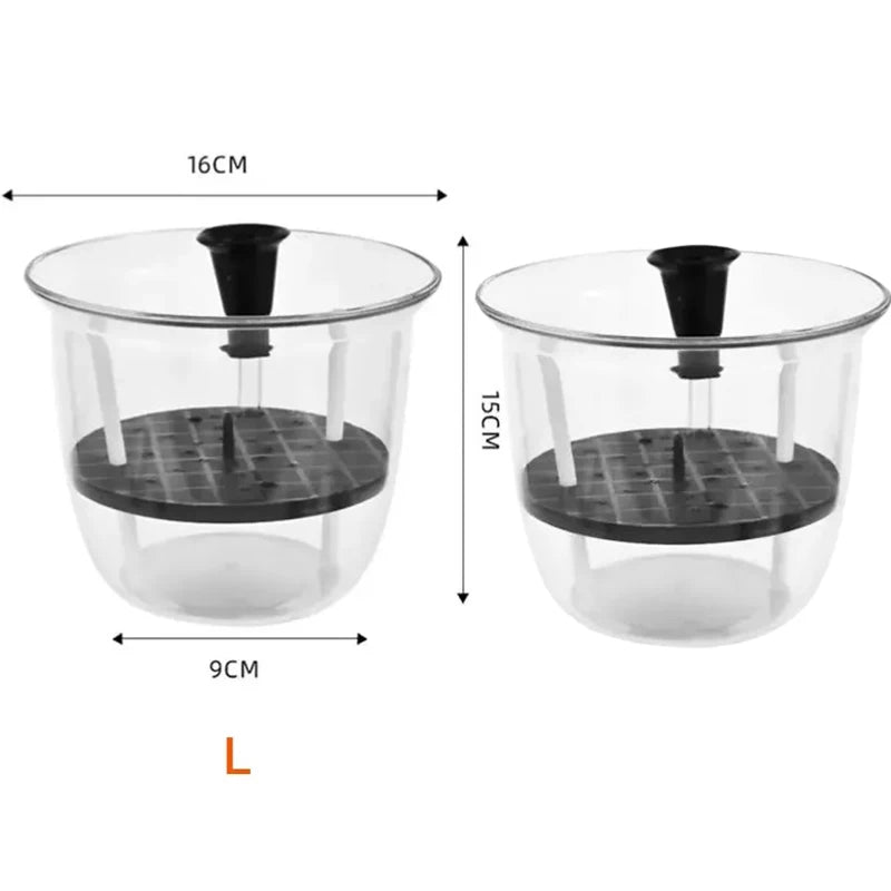 2-Pack Clear Self-Watering Pots with Deep Reservoir | Indoor Plants