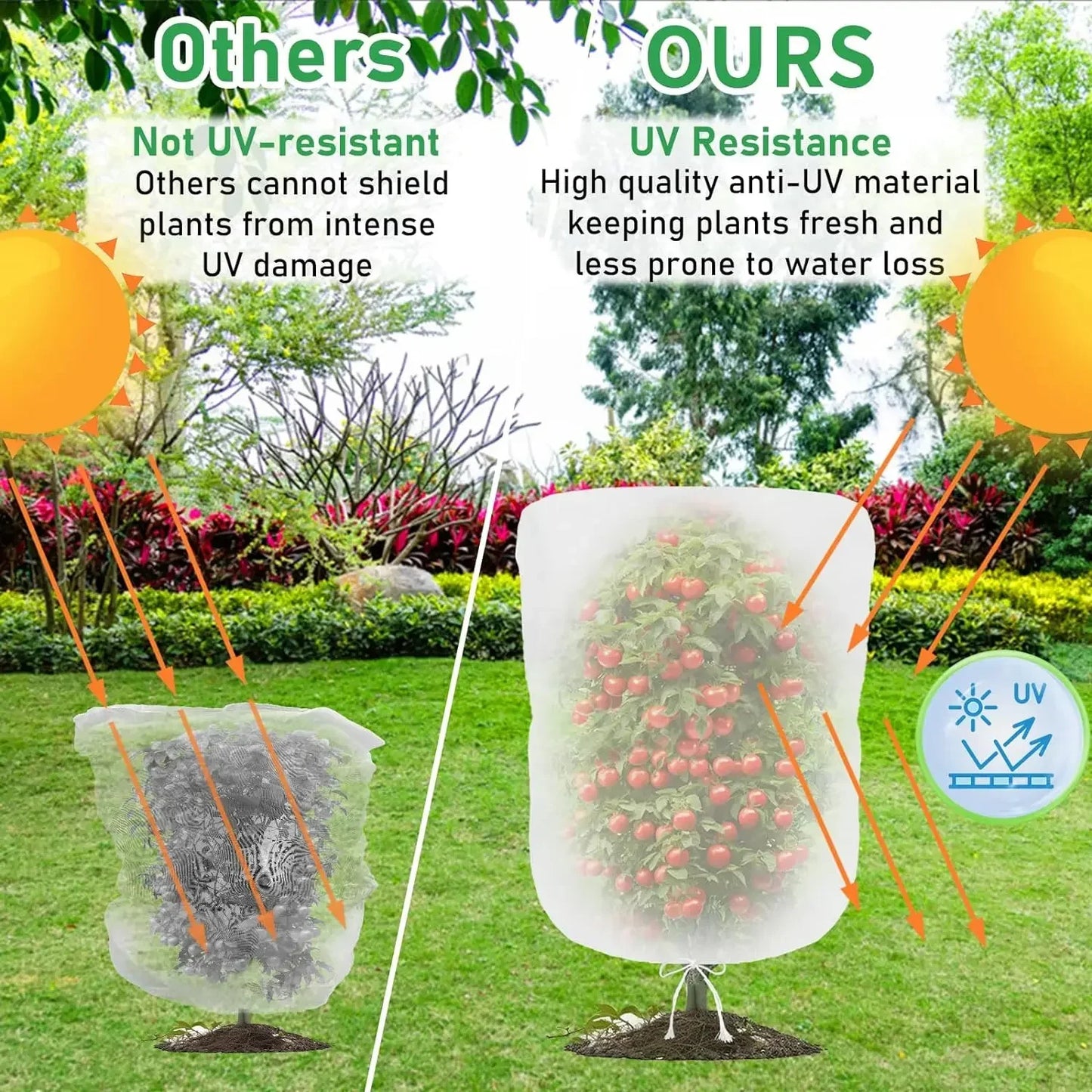 Fruit Tree Insect & Bird Net Cover | Garden Crop Protection