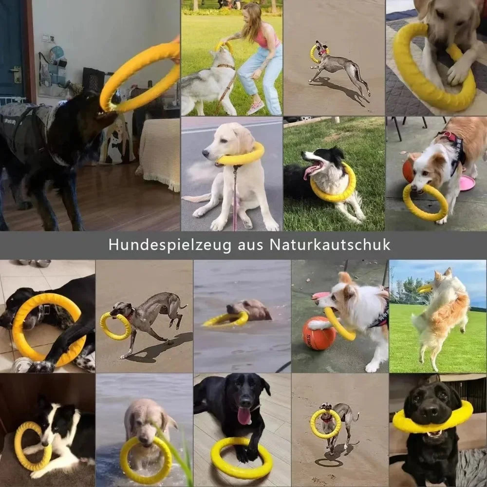 Dog Toys Pet Flying Disk Training Ring Puller Anti-Bite Floating Interactive Supplies Dog Toys Aggressive Chewing Toy dog stuff Peaceful Pleasures Health and Wellness