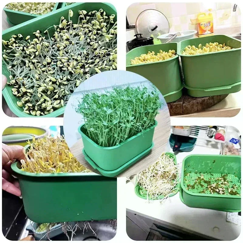 Plastic Seedling Nursery Pots & Germination Tray | Garden