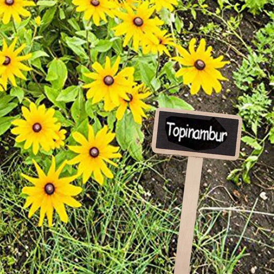Mini Chalkboard Plant Markers 20 Pack – Wooden Garden Tags Garden Plant Markers Oasis Select
