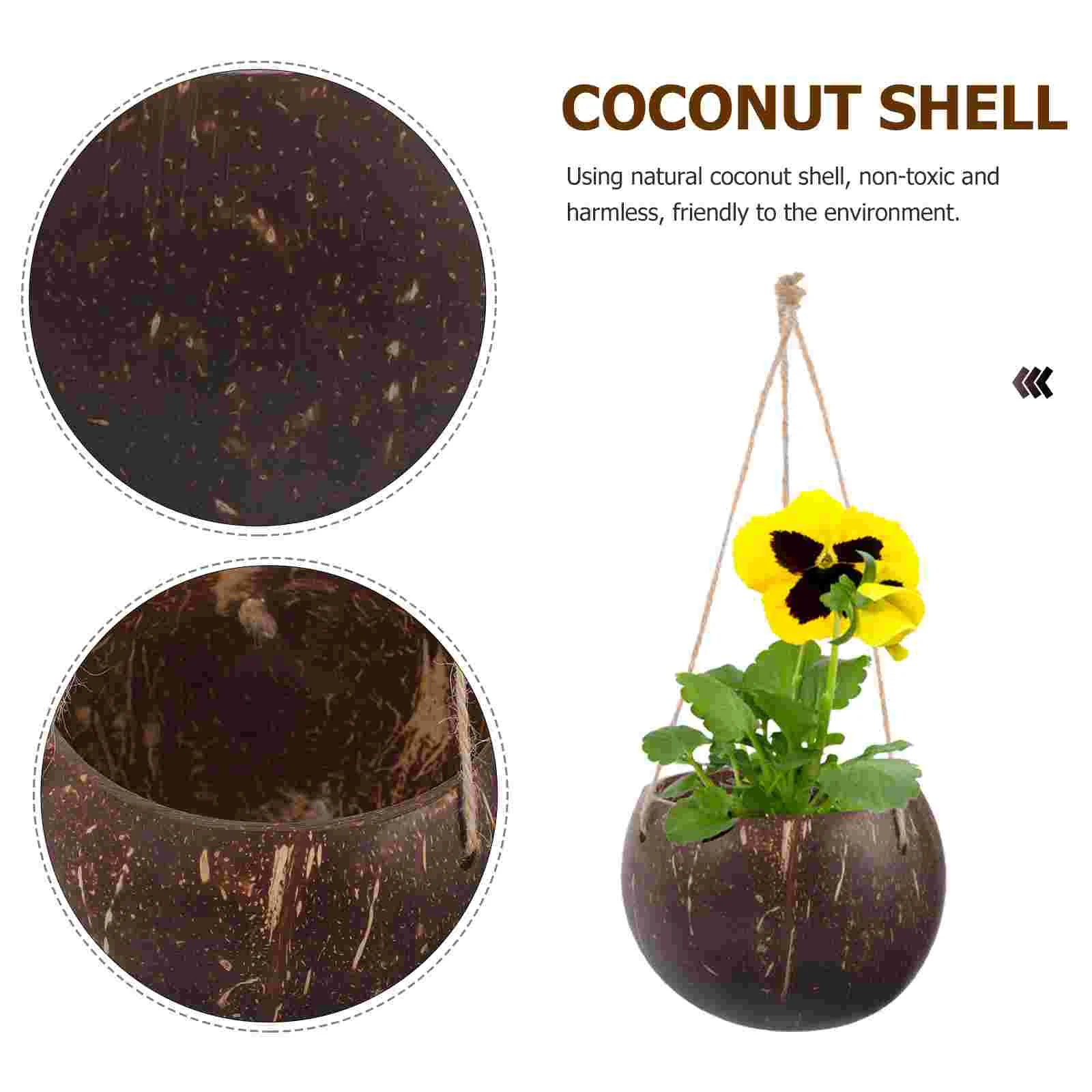 Large Hanging Planter Coconut Shell Flowerpot Wall Mounted Basket With Chain Flower Container Balcony Plant Holder Peaceful Pleasures Health and Wellness